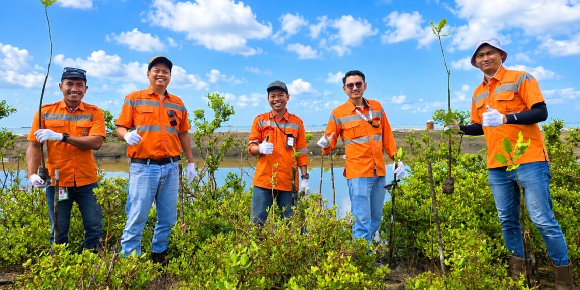 Komitmen Blue Carbon, PT BIB dan Warga Tanam 1.000 Mangrove di Kabupaten Tanah Bumbu