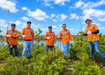 Komitmen Blue Carbon, PT BIB dan Warga Tanam 1.000 Mangrove di Kabupaten Tanah Bumbu